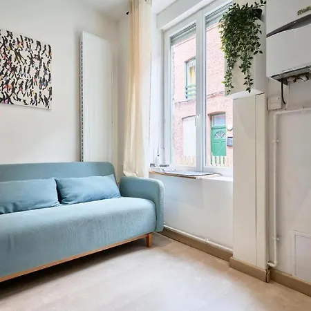 Daire Maison Typique Vieux Lille